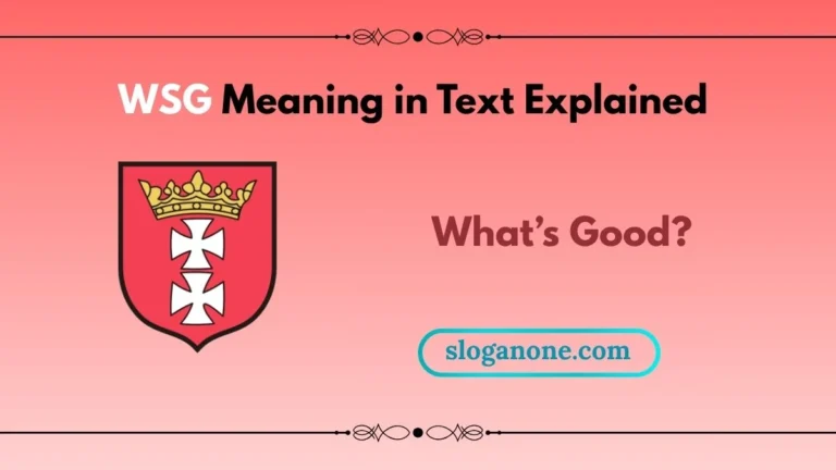 wsg meaning in text